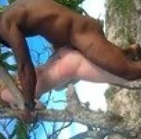 Albina em cima da árvore numa putaria engraçada – porno cafajeste